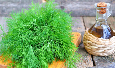 The chemical composition of dill oil