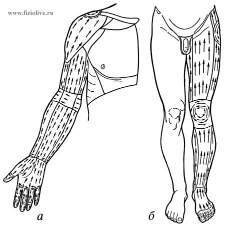 Схема движения игольчатых вибратодов на руке и ноге