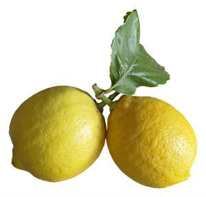 лимон на ветке