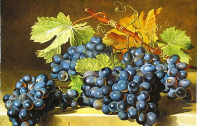 Grape oil - beneficial properties and contraindications